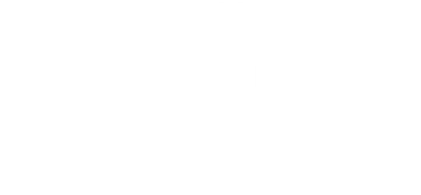2XP — VDJ Maf Fereydouni Stage Logo